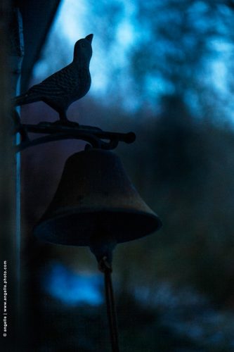 photo © angelle oiseau soirée nuit bleu cloche poésie rendez vous crépuscule ouvrage 