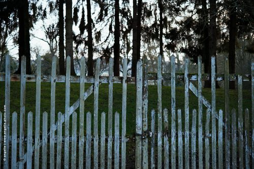 photo © angelle barrière parc delabree gris hivers bois paysage clos enfermement