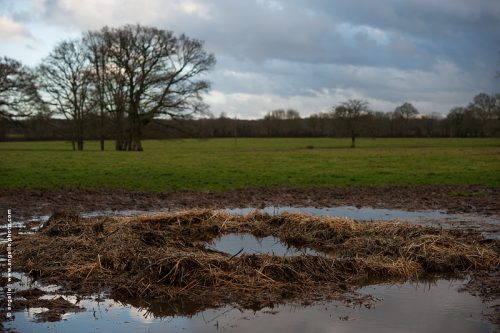photo © angelle pre foin cercle mangeoire absente traces elevage reflet pluie inonder paysage campagne soirée