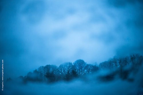 photo © angelle crepuscule hivers velux paysage vu du velux neige mystérieux foret arbres voyage immobile