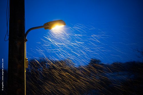 photo © angelle lampadaire nuit crépuscule mouvement neige ligne danser lumiere paysage quotidien hivers