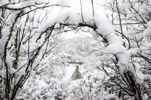 photo © angelle neige arche naturel bois tressé maison paysage paisible village trace