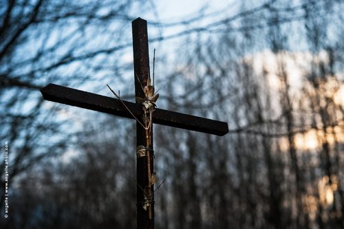 photo © angelle croix chemin de compostelle brindilles fragile christ de bois lumiere foret chemin croyance dieu nature foret 