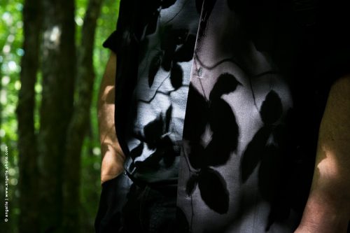 photo © angelle ombre foret mystere promenade feuilles tissus