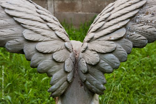 photo © angelle aigle plume statue de dos jardin decoration etrange parpaing envol