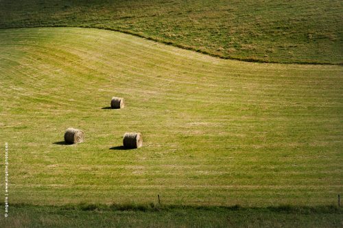 photo © angelle botte de foin juillet trois equilibre ondulation abandon guetteur bande agriculture