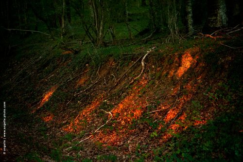 photo © angelle foret talus soleil reflets rougeoiement mystère soir coucher de soleil lumiere ruisselante