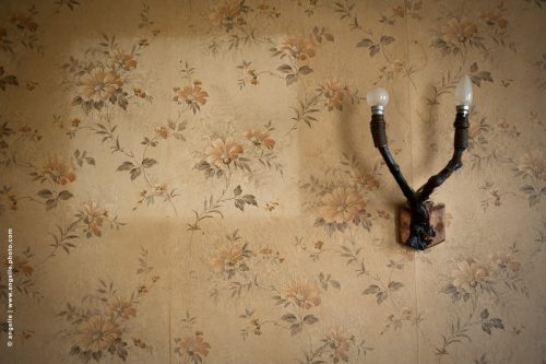photo © angelle papier peint intérieur vieux cadre absence luminaire cerneau vide fleurs