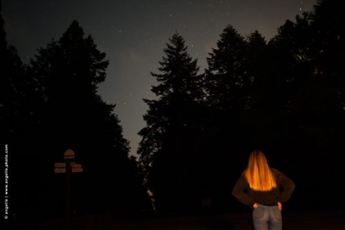 photo © angelle nuit foret fille cheveux or ciel etoiles rond point sapin attendre regarder