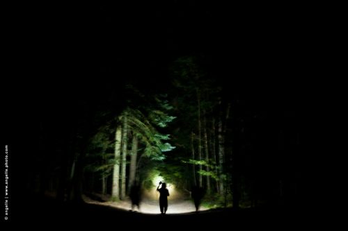 photo © angelle nuit foret mystère lumiere lampe de poche paysage flou mirage magie 