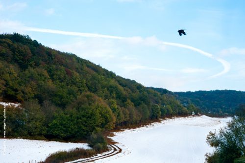 photo © angelle campagne chemin virage corneille oiseau vol foret vallon vallée neige hivers automne