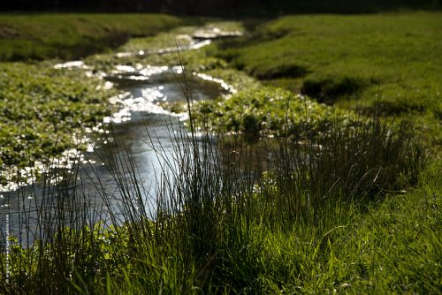 photo @ angelle riviera paysage vue subjective reflets eau verdure champs sinueux printemps nature campagne
