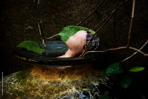 photo © angelle visage poupée vase installation étrange poétique végétation bain