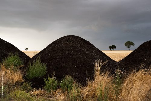 photo © angelle tas terre champs arbres horizon orage tristesse mélancolie