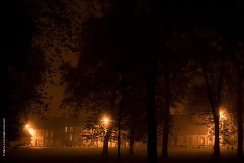 photo © angelle brume village nuit éclairage public arbre parc Nièvre bourgogne myope 