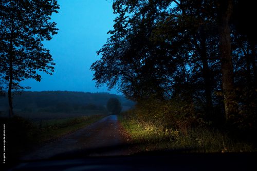 photo © angelle route nuit cessy foret voyage campagne