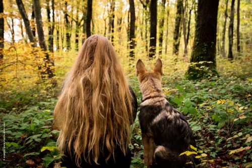 photo © angelle foret cheveux chien fille automne de dos mystère