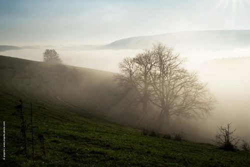 photo © angelle paysage brume brouillard nature campagne arbres monts vallée lumiere douceur