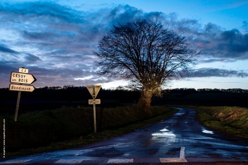 photo © angelle petite route coder le passage arbre crépuscule village prés isolement beauté