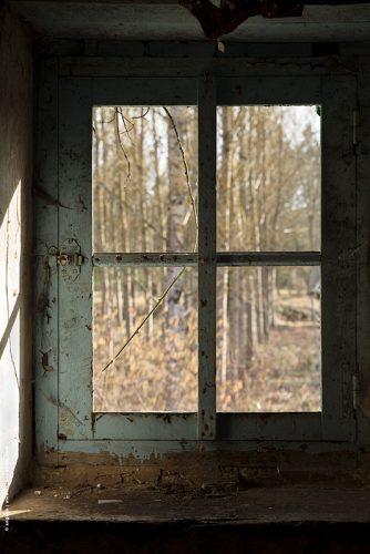 photo © angelle fenêtre vue confinement rangée d'arbres vieille maison