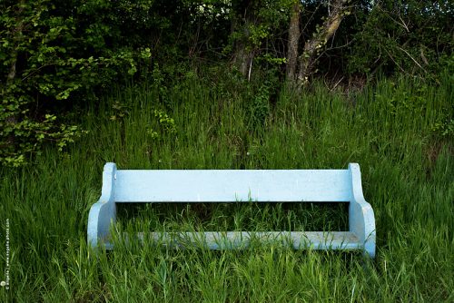 photo © angelle banc bleu printemps luxuriance noyé repos harmonie douceur 