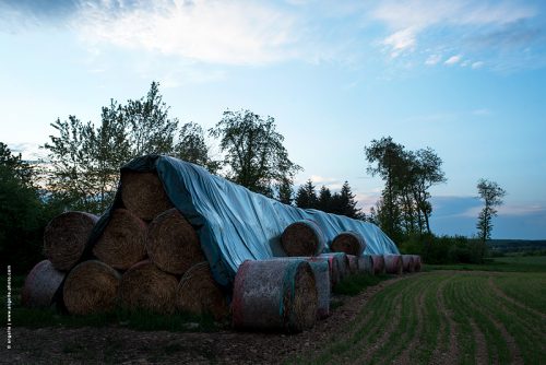 photo © angelle foin protection bachelorette campagne printemps bleu crépuscule 