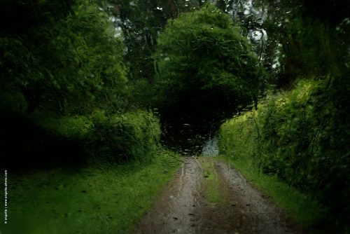 photo © angelle voiture vue du pare brise chemin arbre parc après l'orage campagne