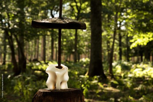 photo © angelle pierre a sel cerfs foret dent installation étrange été insolite 