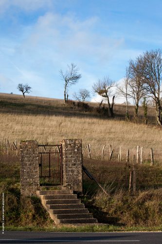 photo © angelle portail mystere marches route rien insolite pre arbres hivers